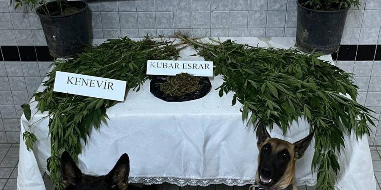 Buharkent’te Uyuşturucu Operasyonu: 1 Gözaltı