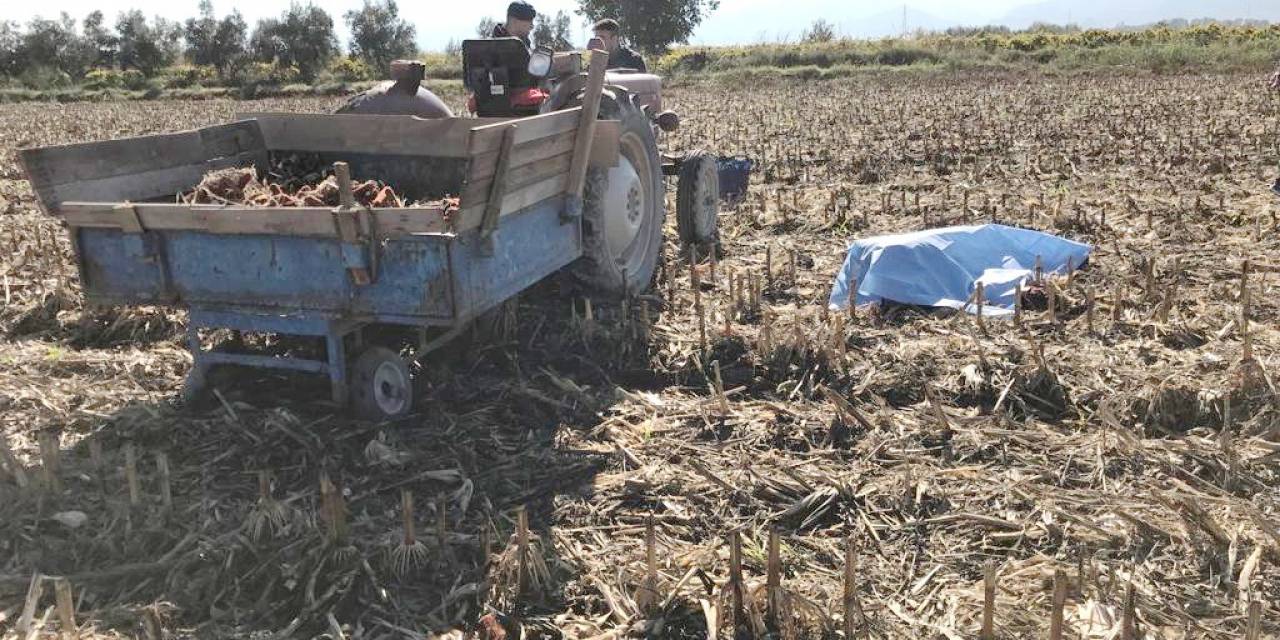 Manisalı Çiftçi Tarlada Ölü Bulundu