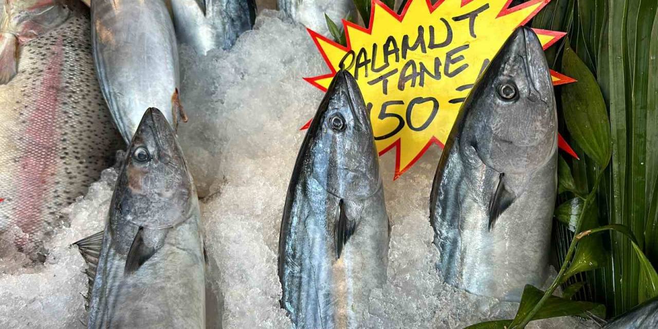 Palamut Az Da Olsa Tezgaha İndi