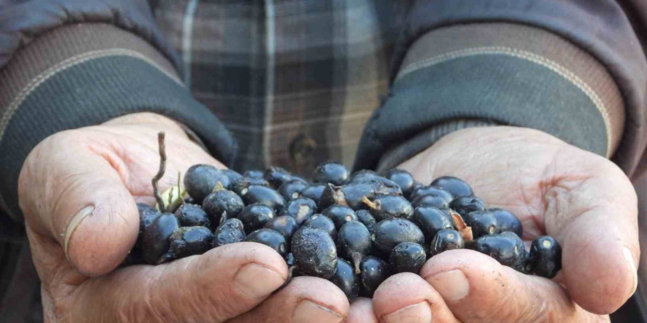 Binbir Zahmetle Üretiliyor, Litresi 180 İla 200 Liradan Satılıyor