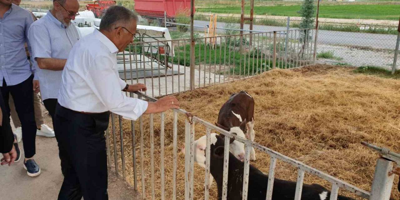 Büyükşehir’den Tarım Ve Hayvancılığa 5 Yılda Yaklaşık 500 Milyon Tl’lik Yatırım