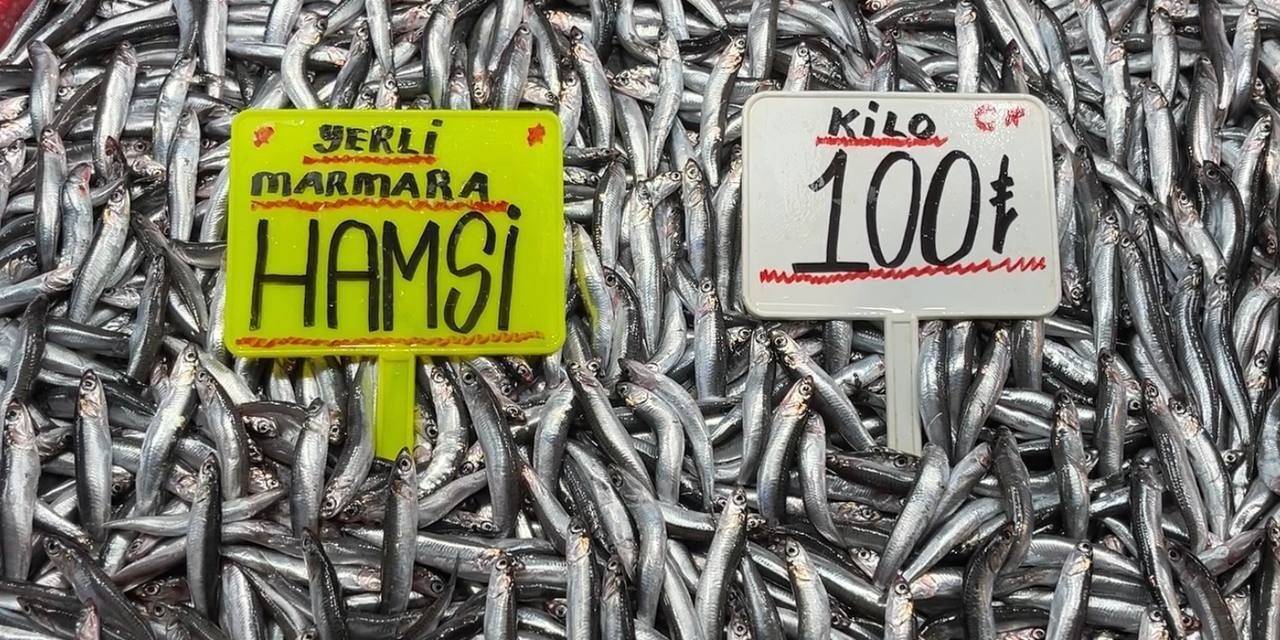 Hava Soğudu, Hamsi Bollaştı