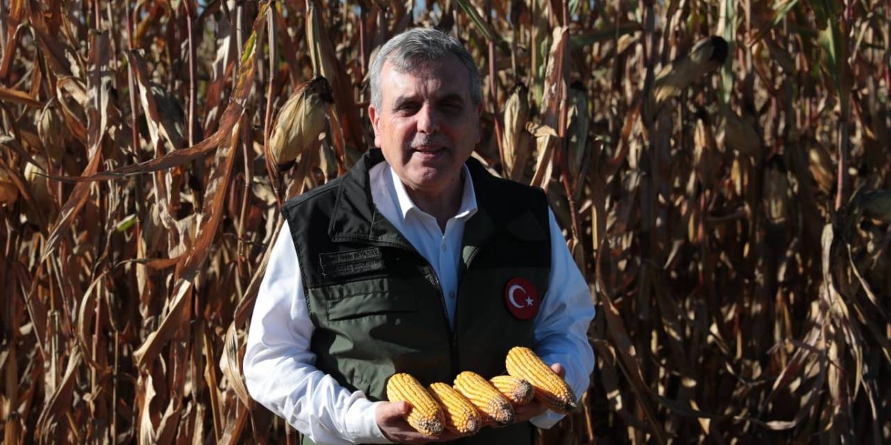 Atık Su Gübresi Yüksek Rekolte Getirdi