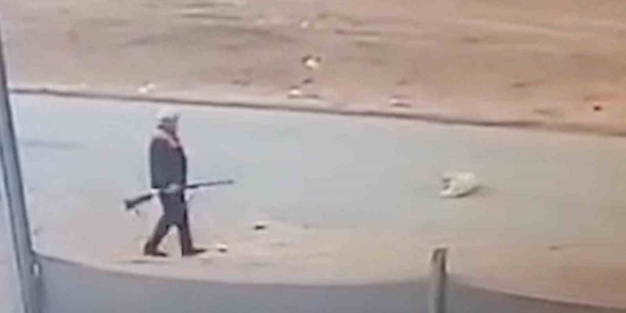 Sahipsiz Köpeği Av Tüfeğiyle Öldürdü