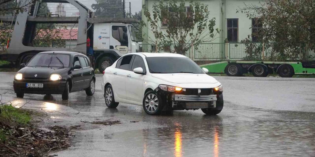 Kocaeli’de Şiddetli Rüzgar Ağacı Kökünden Söktü