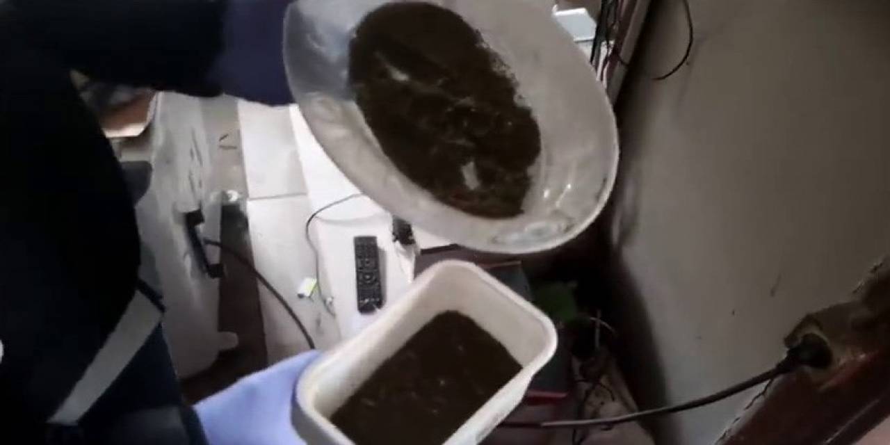 Eş Zamanlı Baskında 113 Gram Esrar Ele Geçirildi