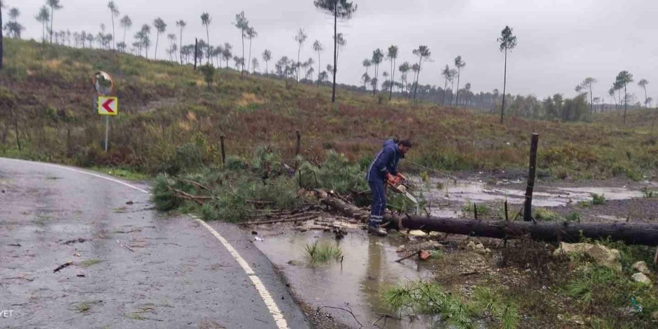 Şile’ye 94 Personel, 38 Araçla Müdahale Edildi