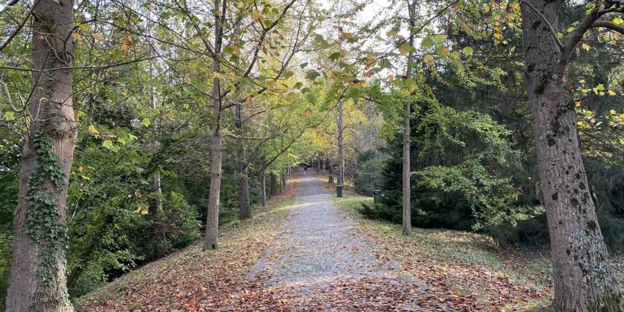 Atatürk Arboretumu’nda Kartpostallık Manzaralar