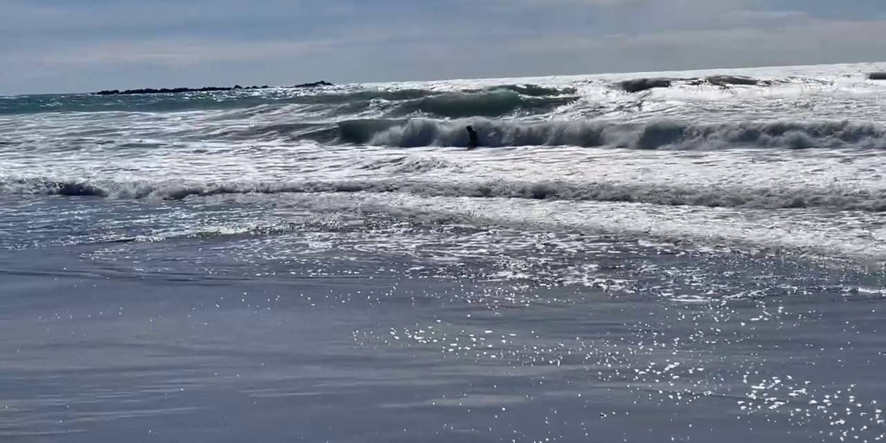 Boğulma Tehlikesi Geçiren Adamı Baş Aşağı Kaldırıp Suyu Çıkarmaya Çalıştılar