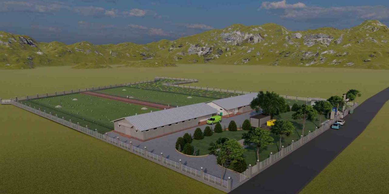 Büyükşehir Belediyesi Elmalı’ya Serbest Gezen Tavuk Çiftliği Kuruyor