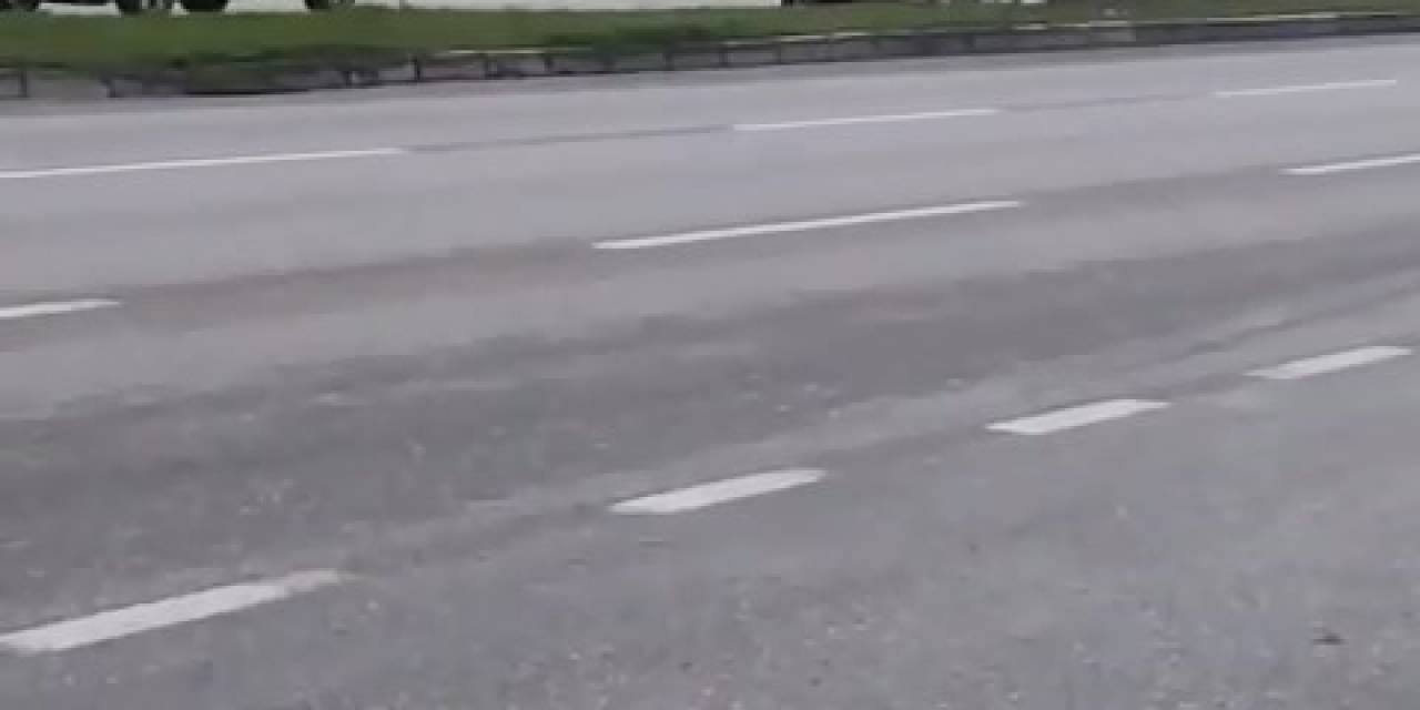 Başı Boş Atlar Tehlike Saçıyor