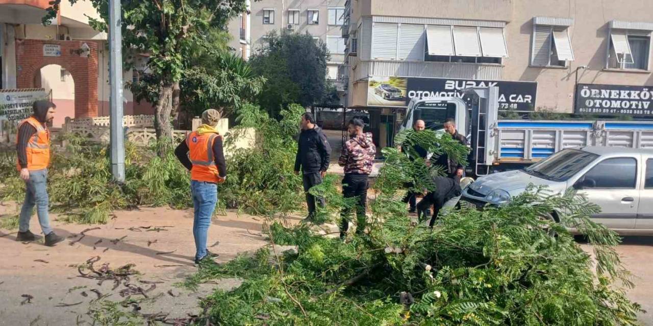 Büyükşehir Ekiplerinin Fırtına Mesaisi