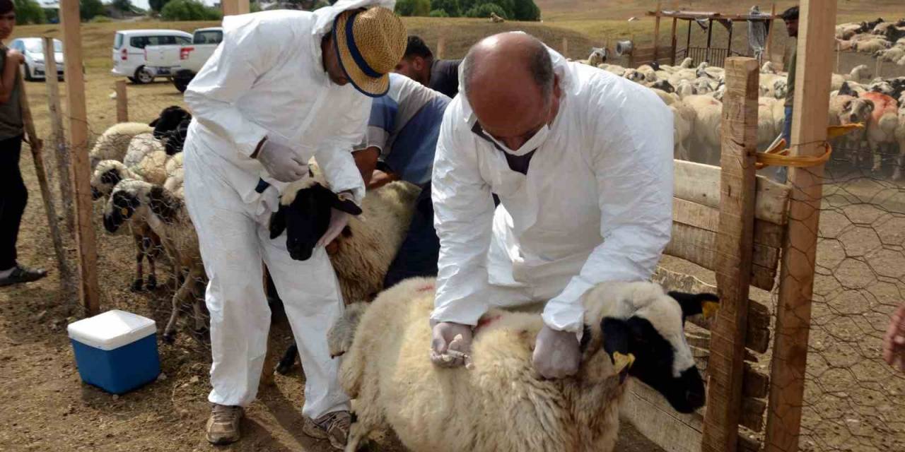 Talas’tan Kırsala Hizmet Yağmuru