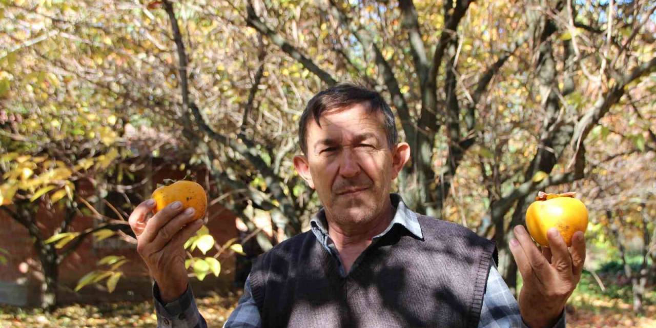 Yaşı 15, Kurusu 200 Lira