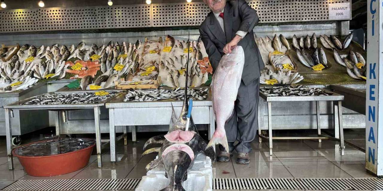 Denizlerde Balık Bolluğu Yaşanıyor