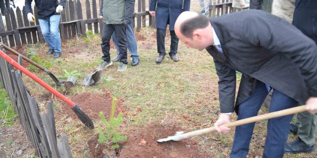 Kars’ta 52 Fidan Toprakla Buluştu