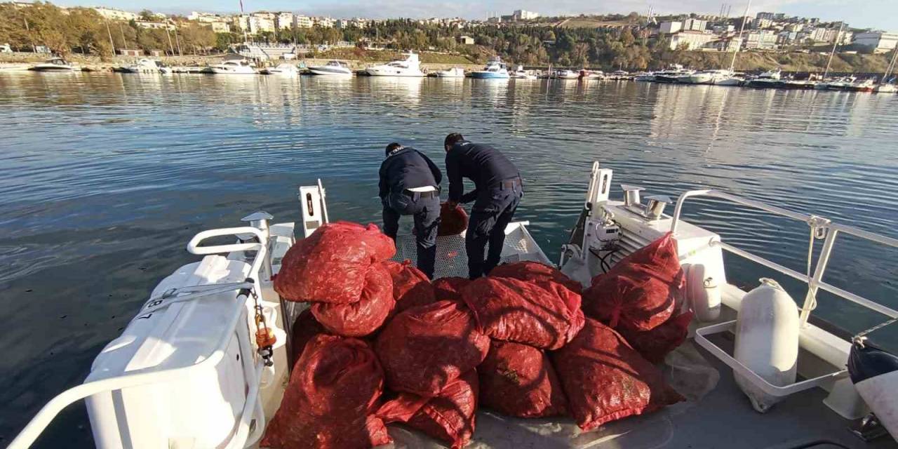 Tekirdağ’da 1,5 Ton Karakıllı Midye Ele Geçirildi