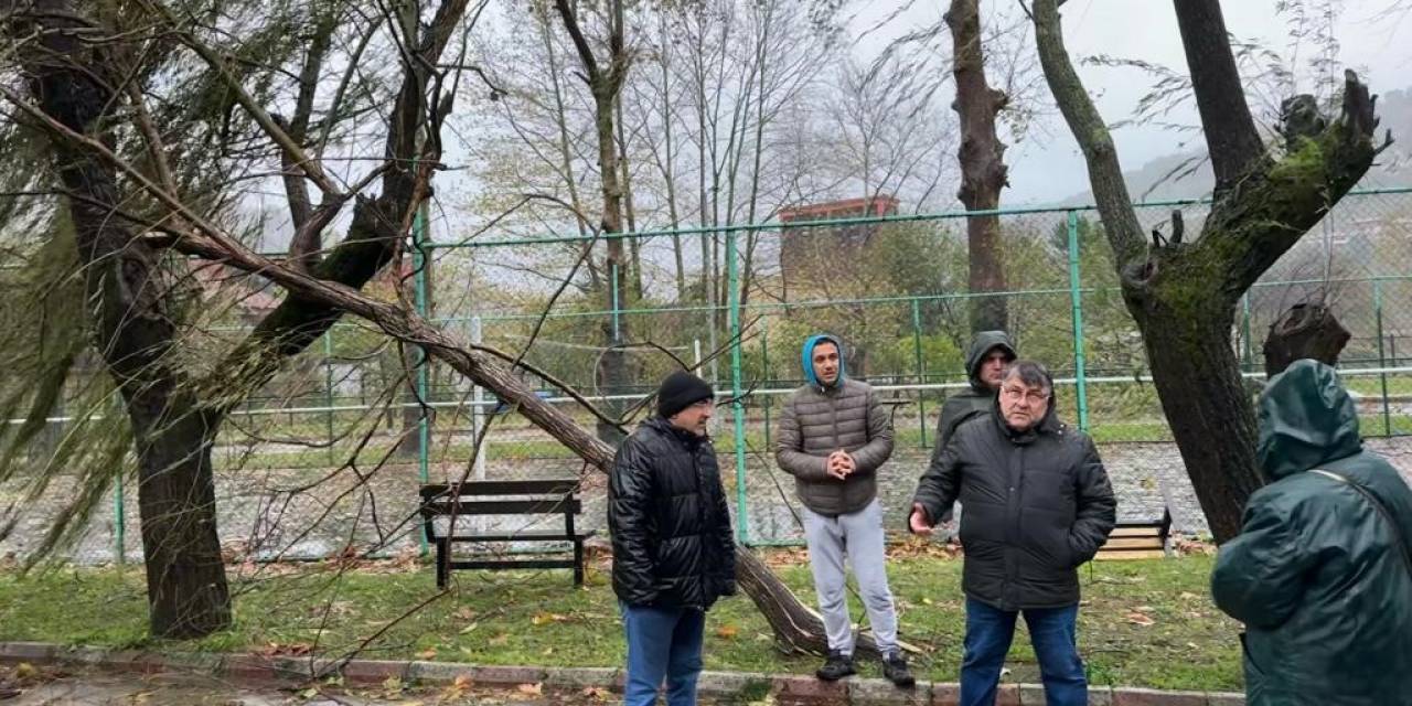 Zbeü Şiddetli Yağmur Ve Fırtınadan Olumsuz Etkilendi