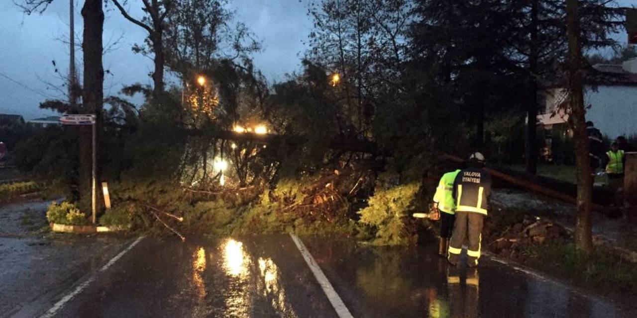 Yalova Belediyesi Fırtınada 274 Olaya Müdahale Etti