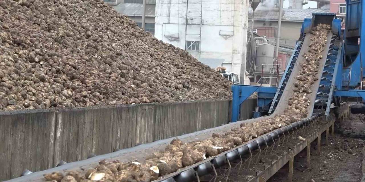 Şeker Pancarıyla Kent Ekonomisine 2,5 Milyar Tl Katkı Hedefleniyor