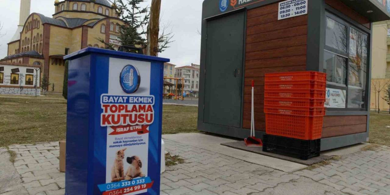 Çorum’da Bayat Ekmekler İsraf Olmayacak