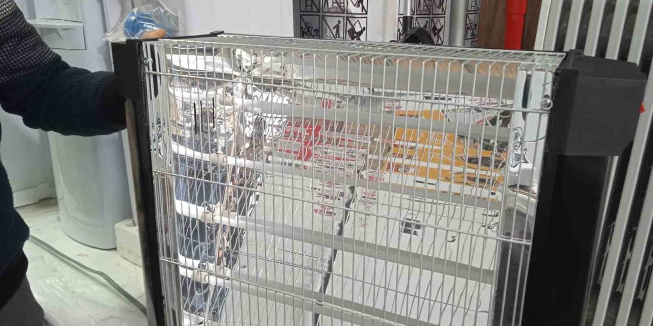 Havaların Soğumasıyla Elektrikli Isıtıcılar Piyasaya Çıktı