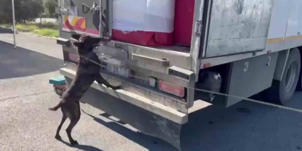 Ev Eşyası Arasında Uyuşturucu Sevkiyatı