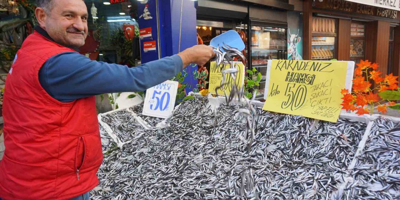 Hamsinin Fiyatı 50 Liraya Düştü, Tezgahlar Şenlendi