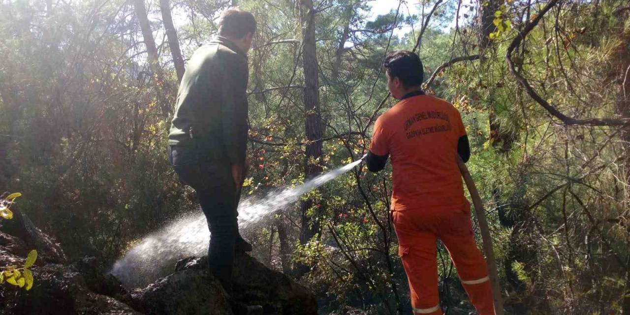 Ormanlık Alanda Çıkan Yangın Kontrol Altına Alındı