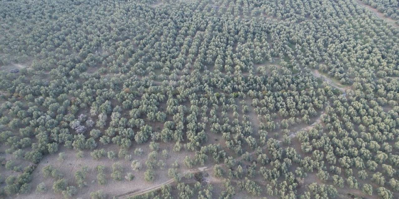 Havran İlçe Tarım’da Dron Dönemi