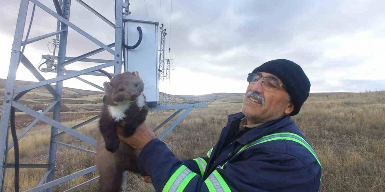 Bu Kez Trafoya Sansar Girdi
