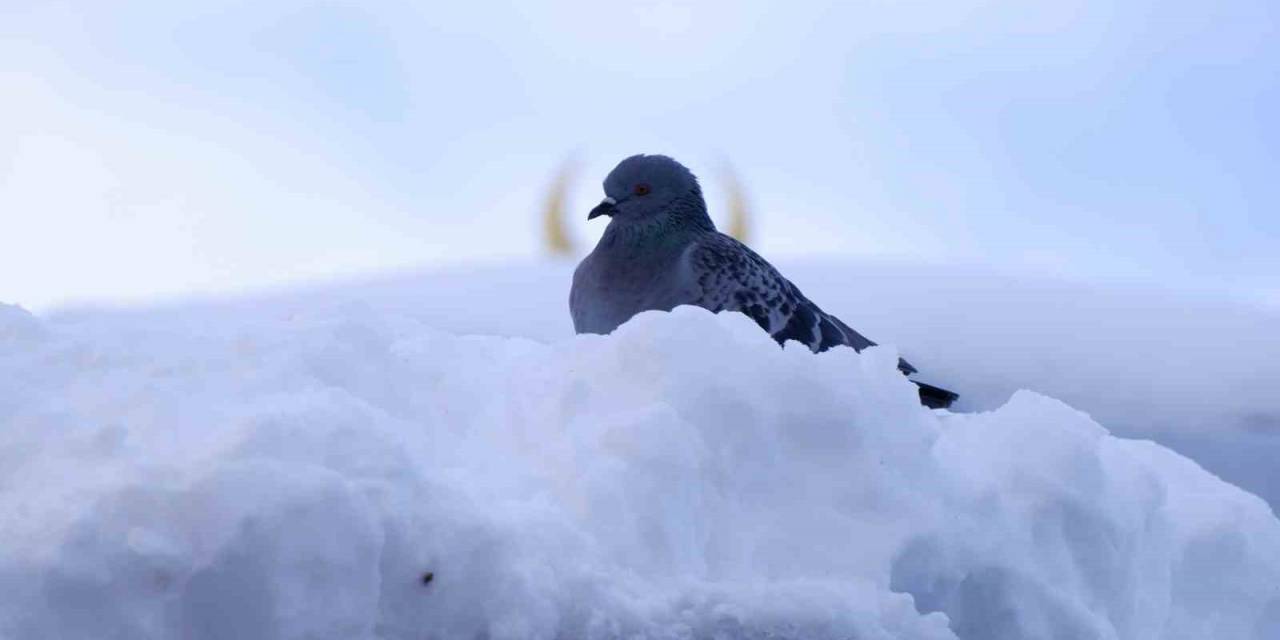Palandöken’de Kar Kalınlığı 56 Cm Buldu, Termometreler -15’i Gösterdi