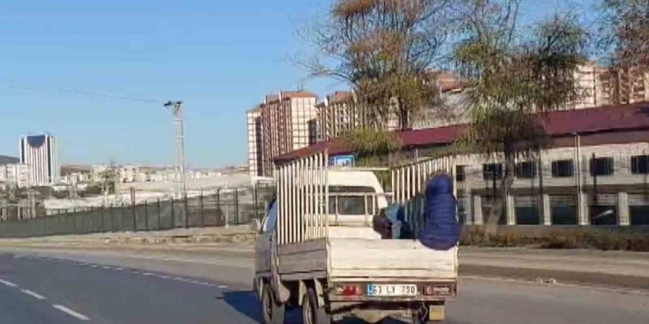 Kamyonet Kasasında Tehlikeli Yolculuk