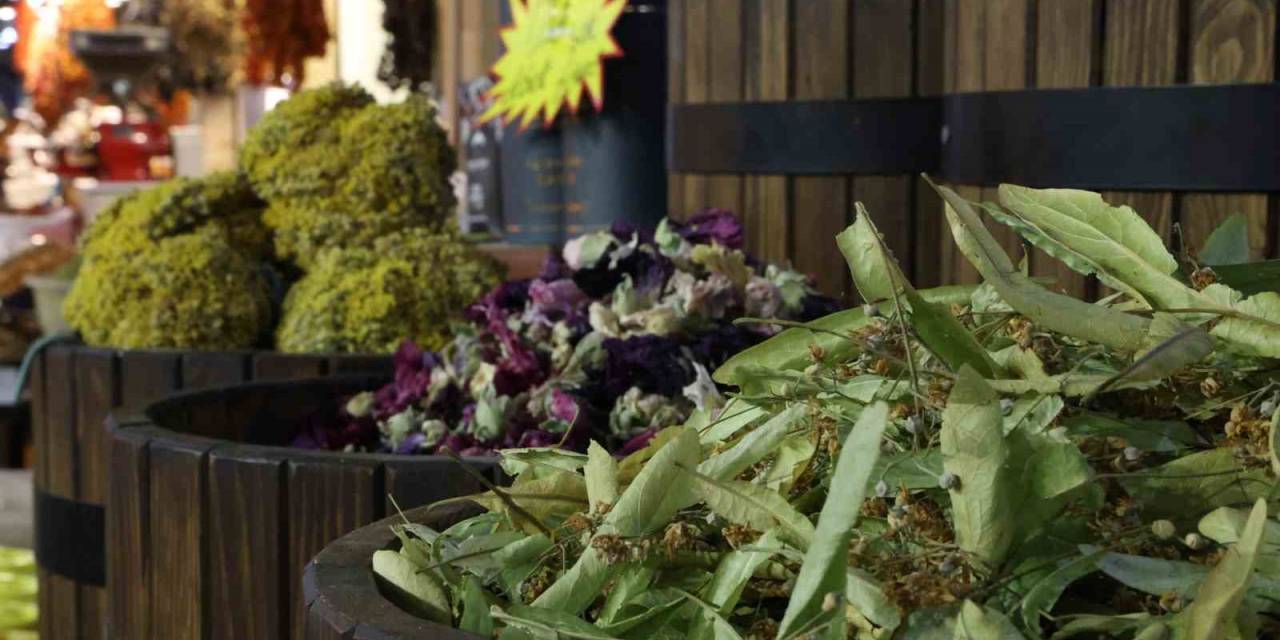 Havaların Soğumasıyla Birlikte Ihlamura Talep Arttı