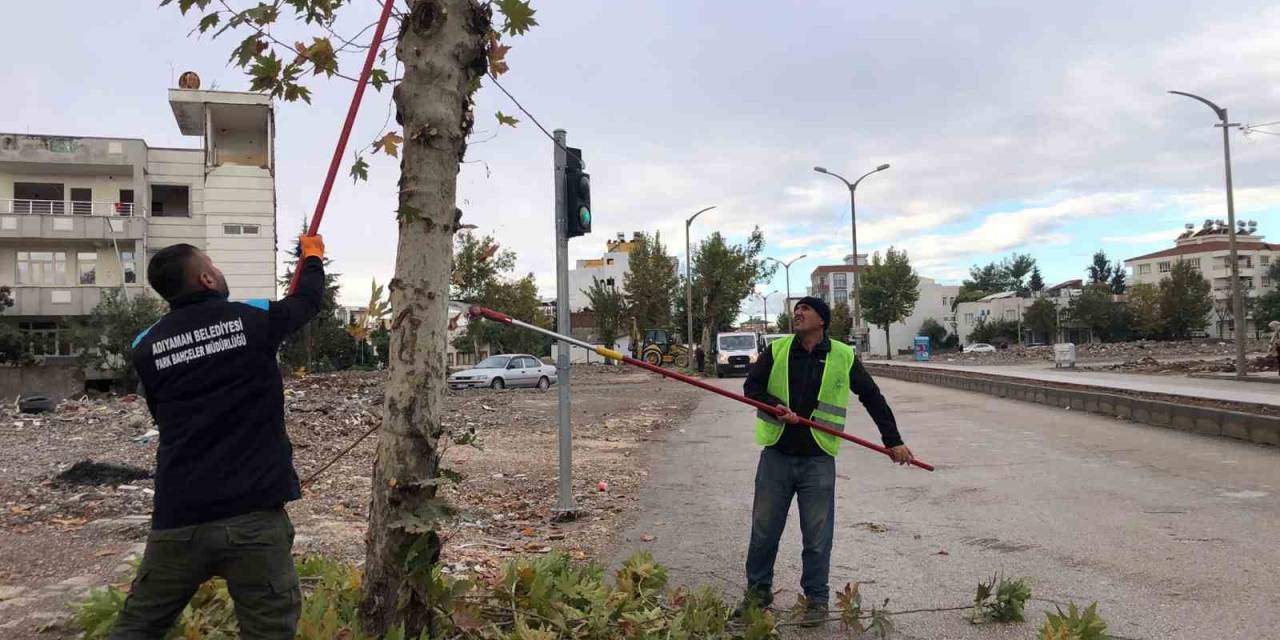 Adıyaman Belediyesi Budama Çalışmalarına Devam Ediyor