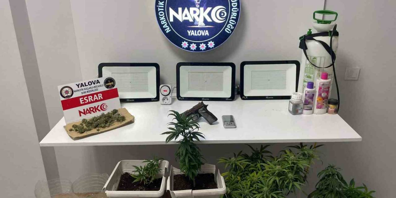 Yalova’daki Uyuşturucu Operasyonlarında 2 Gözaltı