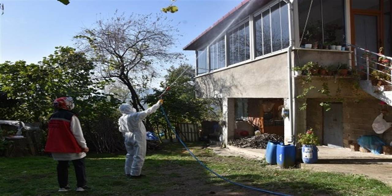 Yılmaz: “Kahverengi Kokarcaya Karşı 2 Ayda 33 Bin Hane İlaçlandı”