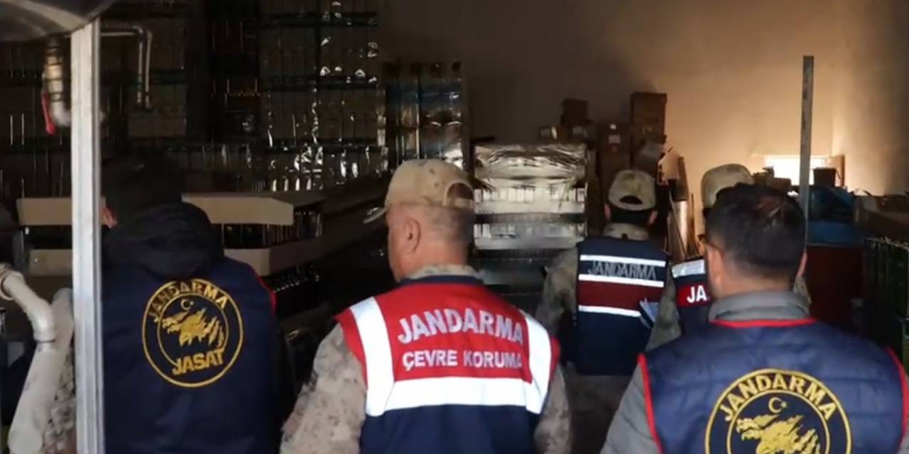 Şanlıurfa’da 11 Bin 236 Litre Sahte Zeytinyağı Ele Geçirildi