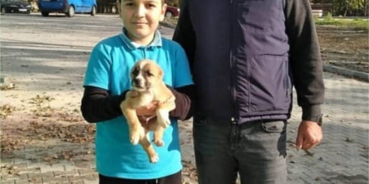 Keşan’da Kulakları Ve Ve Kuyruğu Kesilerek Çuvala Konulan Yavru Köpeği Baba-oğul Sahiplendi