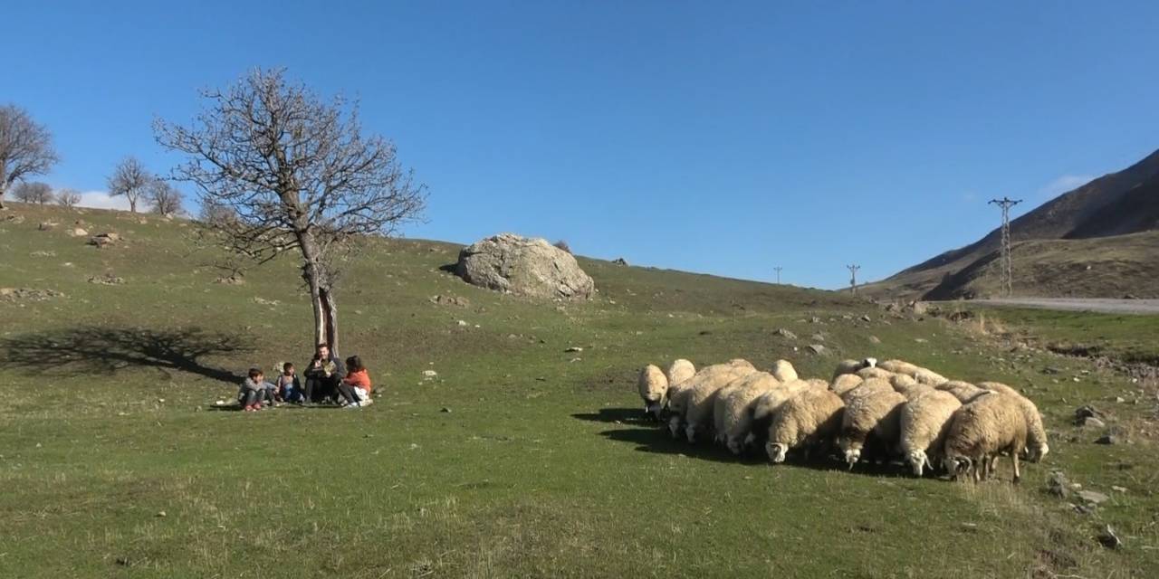 Köyün Tek Öğretmeni, 5 Öğrencisini Geleceğe Hazırlıyor