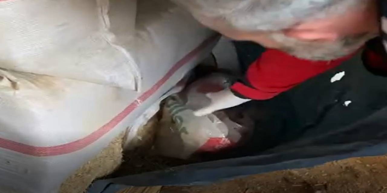 Tarihi Eser Ve Uyuşturucu Maddeyle Yakalanan Şüpheli Tutuklandı