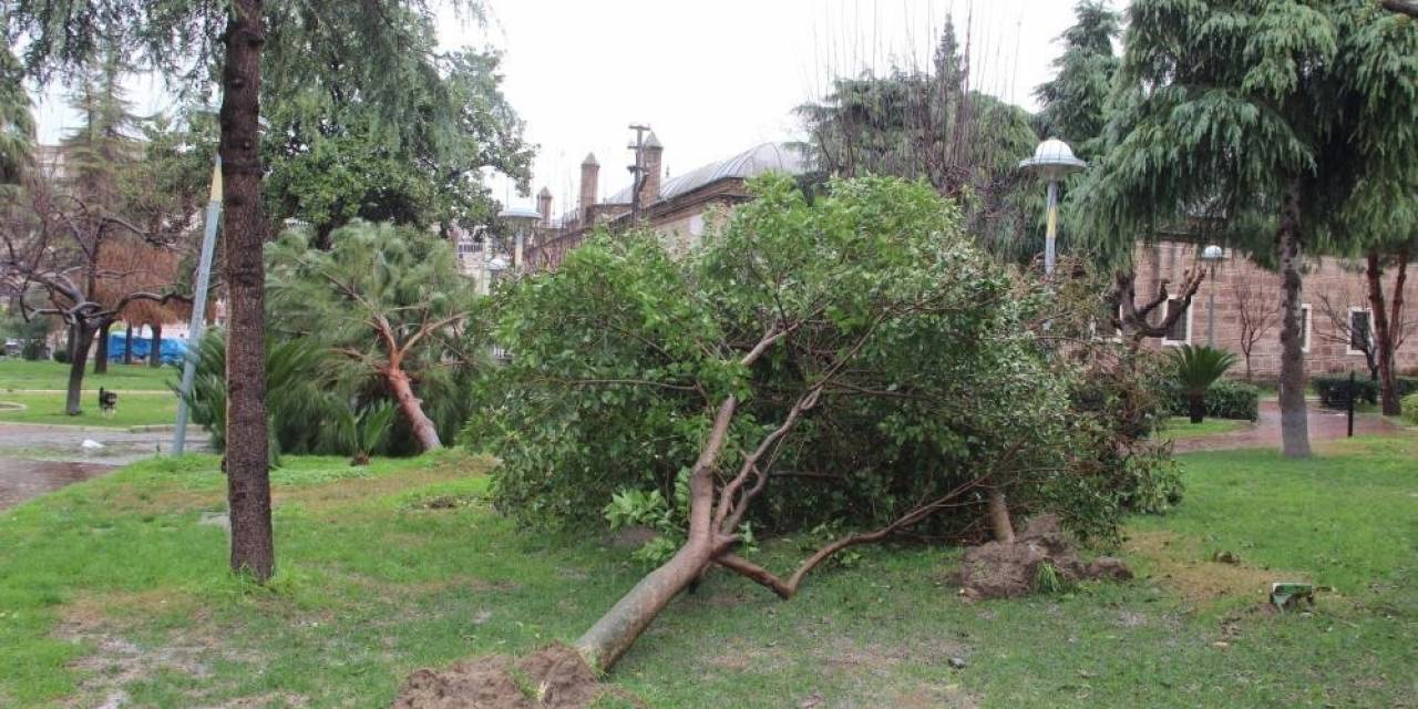 Manisa’ya Kuvvetli Yağış Ve Fırtına Uyarısı