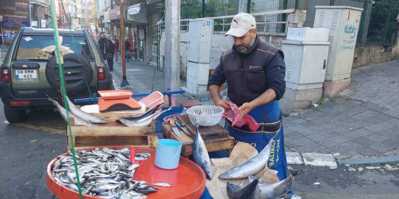 Balıkçının İsyanı: "50 Liraya Sigara İçiyorlar, Balık Yemiyorlar"