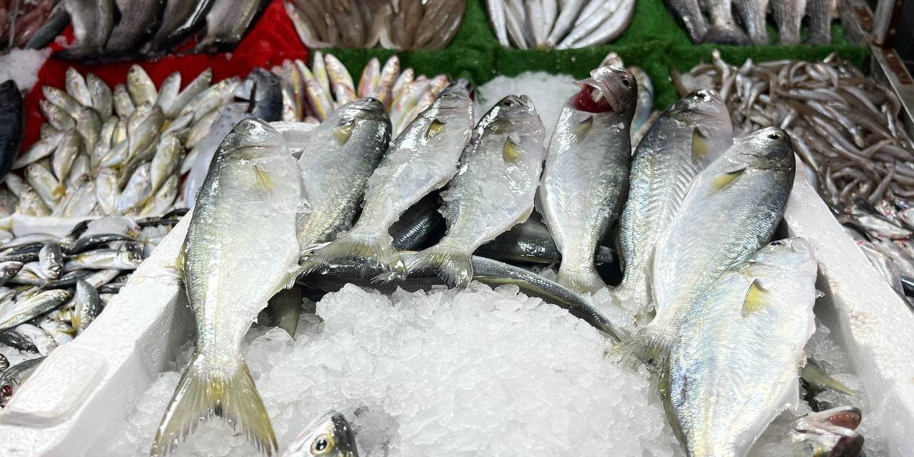 Ege Ve Karadeniz’deki Fırtına Kilis’teki Balık Tezgahlarını Vurdu
