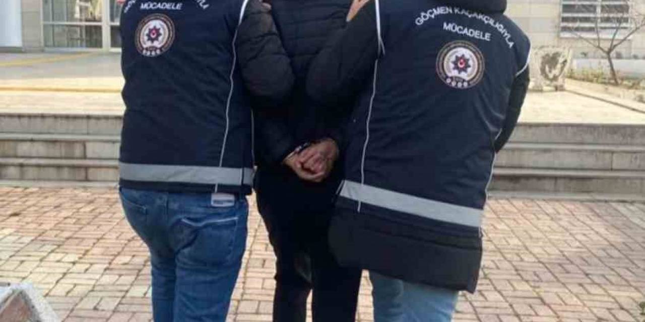 Elazığ’da Göçmen Kaçakçılığı Operasyonu: 1 Kişi Tutuklandı