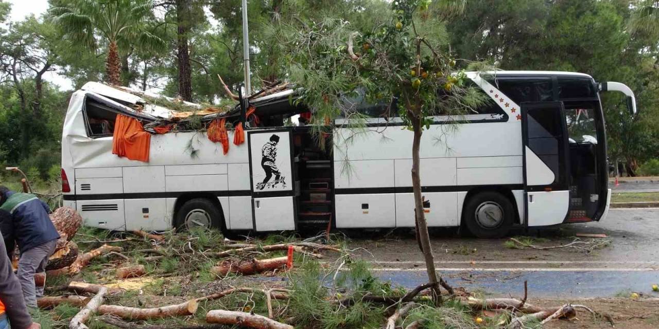 Manavgat’ta Hortum Asırlık Çam Ağaçlarını Yerle Bir Etti