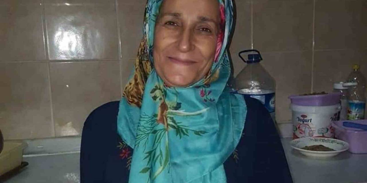 Fındık Bahçesinde Düşen Kadın Hayatını Kaybetti