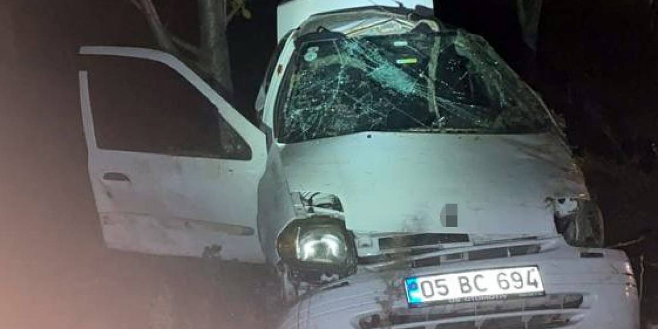 Amasya’da Yoldan Çıkan Otomobil Ağaca Çarptı: 1 Ölü, 1 Yaralı