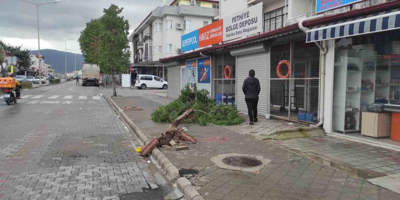 Fethiye Seralar Hasar Gördü, Ağaçlar Devrildi