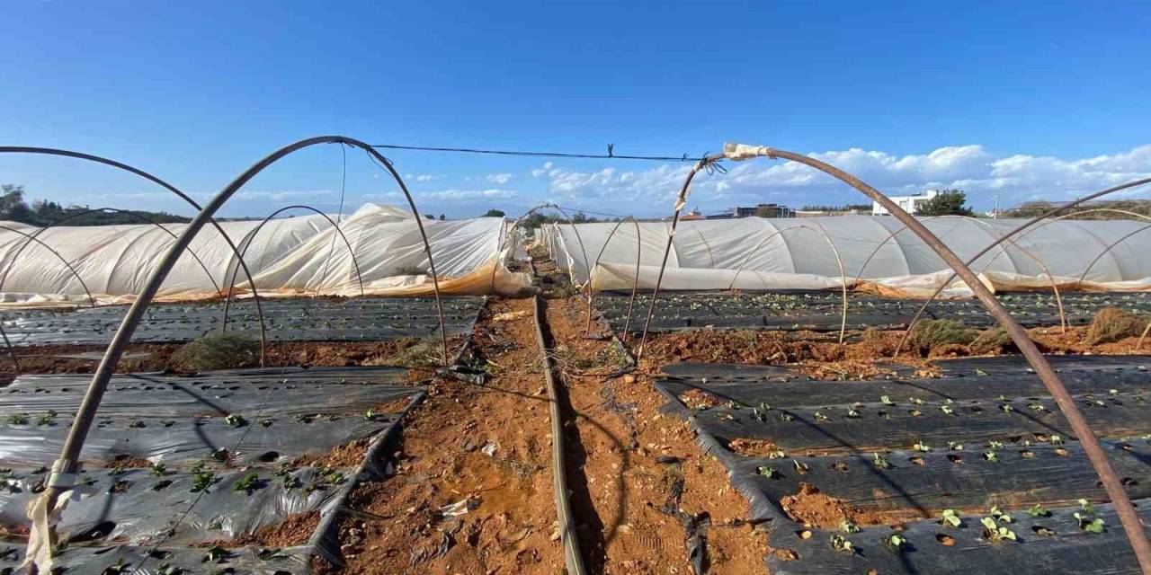 Antalya’da Fırtına Seralara Da Zarar Verdi
